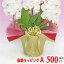 豪華ラッピングAタイプ500円/金赤×ゴージャス金リボン 単品注文不可