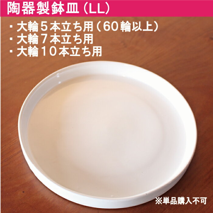 お花が大きいほどあると便利な 鉢皿（陶器) 白 LL サイズ 【 大輪10本立ち 大輪7本立ち 大輪5本立ち(60輪以上￥44,000)　大輪3本立ち（50輪以上￥33,000（税込）以上のもの） 】 ≪鉢皿のみの購入不可≫ 高級感を損なわない陶器製 気の利いた贈り物に 月間優良ショップ