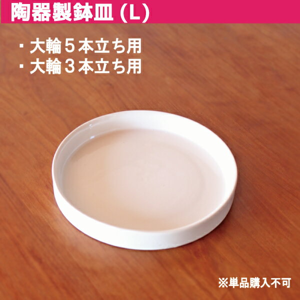 あると便利な 鉢皿（陶器) 白 Lサイズ 【 大輪5本立ち　大輪3本立ち（40輪以上￥27500（税込）以上のもの） 】 ≪鉢皿…