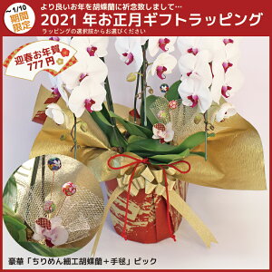 お正月用ラッピング