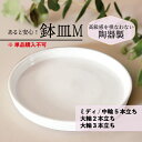 fujimino-orchid:10000097のサンプル画像1