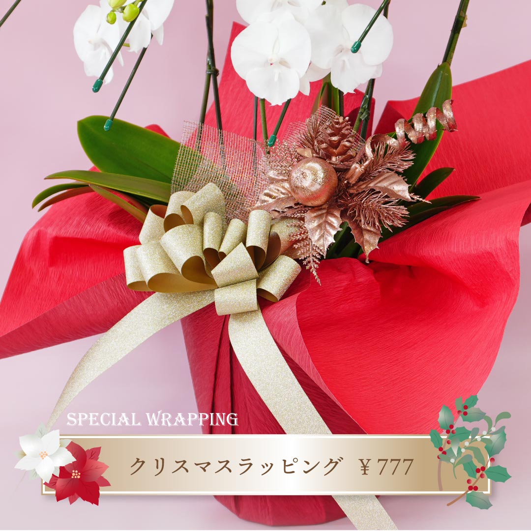 【期間限定！】クリスマス スペシャル ラッピング 華やか おしゃれ プレゼント ギフト 季節の贈り物 誕生日祝い お歳暮 開店祝い 記念日 周年祝い