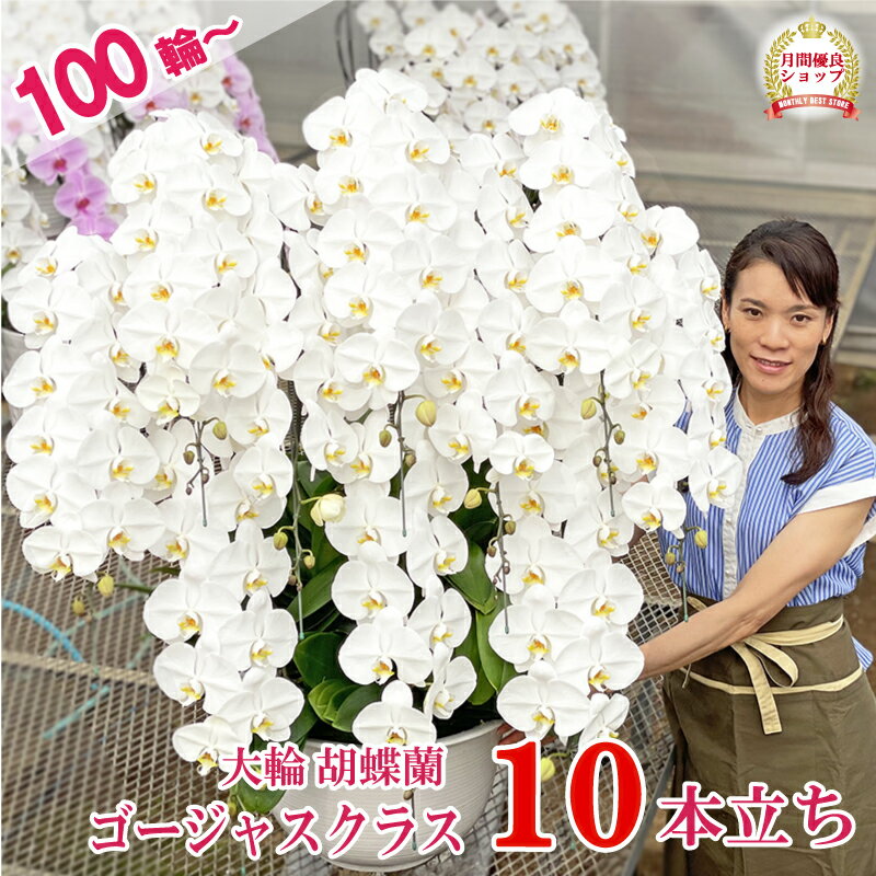 【100輪以上！】 胡蝶蘭 特大輪 10本立ち 白 【つぼみ含む】画像配信あり 10本 蘭 花 受章祝 ギフト お祝い 開業祝い 開店祝い 10周年祝い 100周年祝い 10年 記念 開院祝い 落成祝い 竣工祝い 就任祝い 誕生日祝い 父の日 お中元 長寿祝い お供え 月間優良ショップ