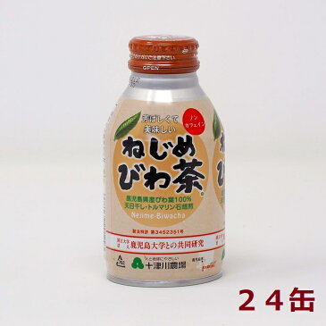 ねじめびわ茶　ボトル缶　290ml24本入りねじめびわ茶の味も風味もそのままに手軽に飲める「ねじめびわ茶ボトル缶」