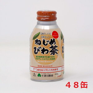 ねじめびわ茶　ボトル缶　290ml　24本入り×2ねじめびわ茶の味も風味もそのままに手軽に飲める「ねじめびわ茶ボトル缶」 十津川農場 鹿児島県産 枇杷茶 ボトル【お取り寄せ商品】