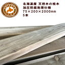 枕木(20cm×7.5cm×200cm)【5本セット】ACQ 庭 門柱 フェンス 花壇 外構 エクステリア 国産 北海道産 ACQカラマツ枕木(200×75×2...