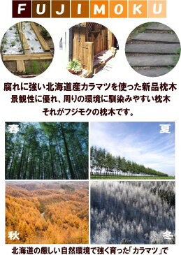 枕木（20cm×7.5cm×200cm）10本セット　ACQ　庭　門柱　フェンス　花壇　外構　エクステリア　国産　北海道産　ACQカラマツ枕木　10本セット（200×75×2000）