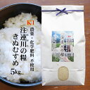 【農薬・化学肥料不使用】令和5年産 島根県吉賀町『注連川の糧』K1きぬむすめ 白米5kg ～高津川清流米～【独自基準＝K1】（農薬不使用栽培・有機質肥料100％）送料無料（一部地域のぞく）ネオニコチノイド系農薬不使用