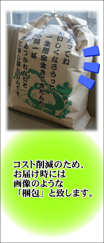 【赤字覚悟の在庫処分セール】令和2年産「島根県産きぬむすめ」白米5kg 送料無料 米 5kg 訳あり 在庫処分 クリアランス 特価 セール 赤字覚悟 簡易包装でお届けします ※沖縄・北海道・離島等一部地域は配送不可です