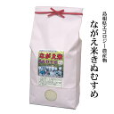 【農薬5割以下】令和3年産　島根県松江市「ながえ米きぬむすめ」白米5kg（島根県エコロジー農産物：農薬・化学肥料5割減）（ながえ米エコ栽培グループ生産）