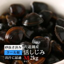 【出汁がでやすいMサイズ】島根県宍道湖産しじみMサイズ2kg　砂抜き済み、朝穫り砂抜きの翌日出荷で鮮度バツグン！手掻き漁で外観も美しいしじみです　送料無料（クール便）※鮮度が重要な商品につき沖縄、北海道、離島は発送不可