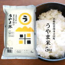 令和2年産 吉田町『うやま米』コシヒカリ5kg島根県雲南市吉田町宇山産送料無料（一部地域）