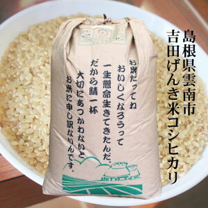 令和5年産 島根県雲南市吉田町産「吉田げんき米」コシヒカリ1等米30kg玄米原袋 送料無料（一部地域）・精米無料（重量で約1割がヌカとなり減ります）