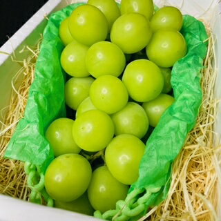 シャインマスカット 1房 500g～800gマスカット ギフト プレゼント お中元 内祝 厳選 旬 果物 くだもの フルーツ 贈答 誕生日 誕生日プレゼント お祝い 国産のサムネイル