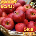 特選サンふじりんご 5キロ りんご サンふじ ふじ 早生 りんご 林檎 フルーツ 果物 くだもの 国産 青森県 青森 サンふじ フルーツギフト ギフト プレゼン...