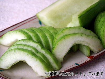 うり浅漬け(半割)