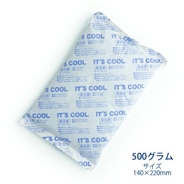 保冷剤 500グラム It's Cool(イッツクール) I-500F 不織布 1ケース(30入) 【業務用】