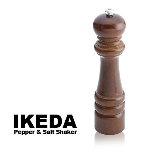 IKEDA 9101Ӟ(yp[~) Ɩp