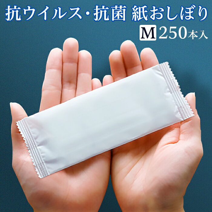 FSX 使い捨て 紙おしぼり 抗ウイルス抗菌 平型 SILKY シルキー Mサイズ 1パック 250本 不織布 レギュラー