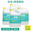 ニイタカ セキュアコール 店舗用 洗浄除菌食品添加物製剤 5L×4本 ケース販売 【業務用】【送料無料】