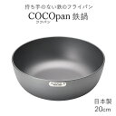 鉄鍋 COCOpan ココパン 20cm 日本製 鉄フライパン【業務用】【送料無料】