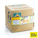 アマテラ グリストラップ洗浄剤 ニューさらさら 10L 業務用