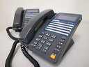 【中古】■TAMRA MT 200bm 30ボタン多機能電話機 TD230(K) 2台 (1)■