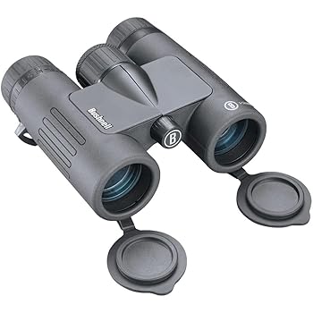 【中古】Bushnell プライム8x32 BP832B