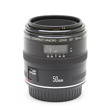【中古】Canon 単焦点マクロレンズ EF50mm F2.5 コンパクトマクロ フルサイズ対応
