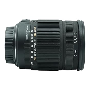 【中古】シグマ 18-250mm F3.5-6.3 DC OS HSM EO キヤノン用
