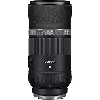 【中古】Canon 望遠レンズ RF600mm F11 IS STM フルサイズ対応 RF60011ISSTM 【中古】Canon 望遠レンズ RF600mm F11 IS STM フルサイズ対応 RF60011ISSTM