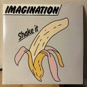 【中古】Imagination Shake It レコード LP vinyl アナログ AOR