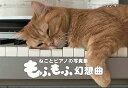 【中古】ねことピアノの写真集 もふもふ幻想曲