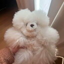 【中古】ベビーアルパカ テディベア ホワイト