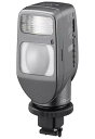 【中古】ソニー HVL-HFL1 ビデオライトとフラッシュの組み合わせ ビデオカメラ用