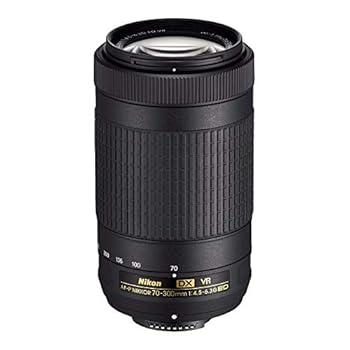 【中古】Nikon AF-P DX NIKKOR 70-300mm f/4.5-6.3G ED VR レンズ Nikon DSLRカメラ用
