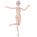【中古】Proudoll 1/6 BJD 人形 ボディボール ジョイントSD人形 15ジョイント ムーブ DIY 人形 + ベーシック メイクアップ メイクアッ...
