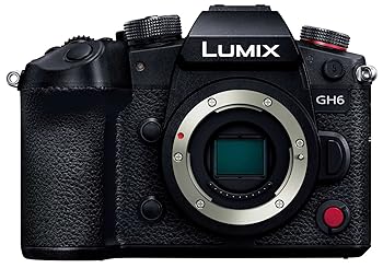 【中古】パナソニック(Panasonic) ミラーレス一眼カメラ ルミックス GH6 ボディ ブラック DC-GH6
