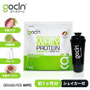 【シェイカーセット】送料無料 グラスフェッド ホエイプロテイン 1kg ココア 抹茶 プレーン ダージリン【GoCLN】ゴークリーン 人工甘味料不使用 無添加 オーガニック ココア味 抹茶味 プレーン味 ダージリン味 1000g 大容量 美味しい 筋トレ