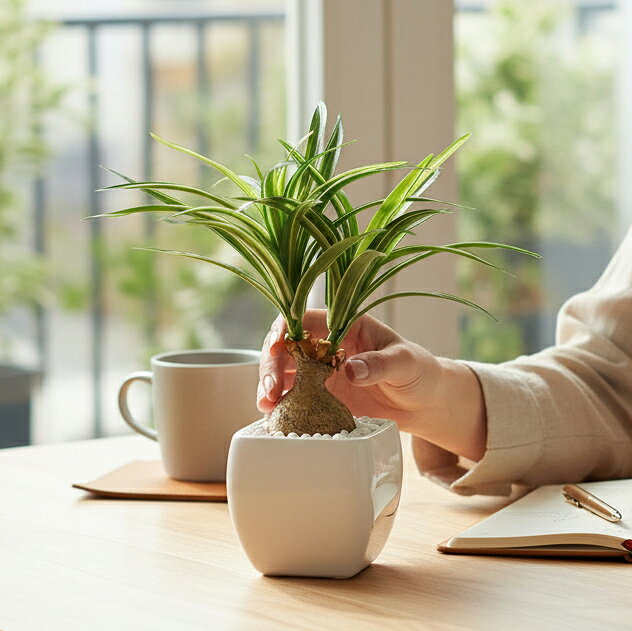 Rakuten - 人工観葉植物 造花 ノリナポット GLA-1226 1個