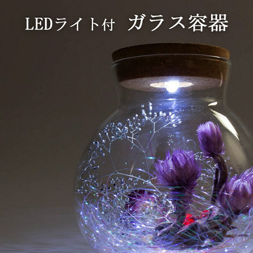 フジベース FB-1 光る LED ライト付 ガラス 容器 透明 花器 テラリウム テラリウムポット めだか 金魚 水槽 金魚鉢 最大幅約13.5cm×高さ約12.7cm 口径約Φ7.5cm ON/OFF切り替え可能 電池交換可