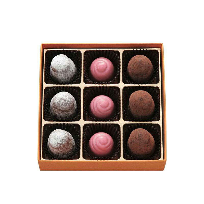 ●V016トイスチャーシャンパンベリー9個入