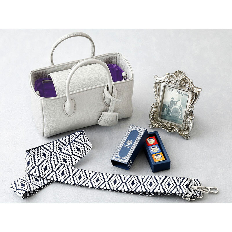 ●V130マイアーニバッググリージョSH15