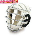 楽天マラソン+当店限定ポイントUP★ 日本拳法防具 日本拳法面8m/m男子用(特大) (日本拳法) N-3 日本拳法