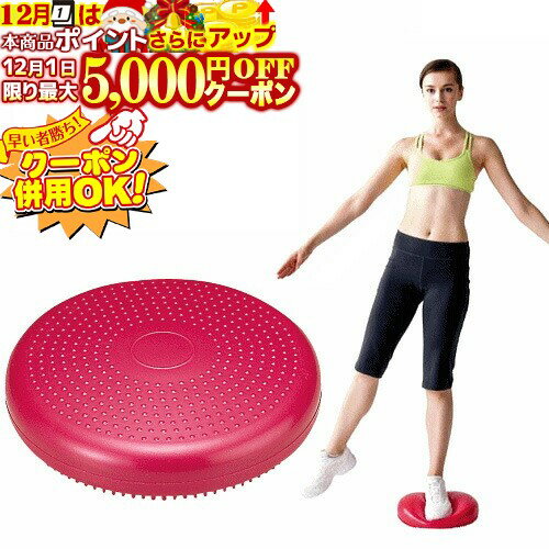 12/1限定★最大5000円OFF!★ トレーニング用品 バランスディスク