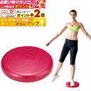 楽天マラソン+当店限定ポイントUP★ トレーニング用品 バランスディスク