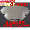 楽天マラソン+当店限定ポイントUP★ 日本拳法用 マウスガード (少年用) 【送料無料】 面に簡単取り付け 日拳面マスク