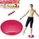 楽天マラソン+当店限定ポイントUP★ トレーニング用品 バランスディスクポンプ付セット