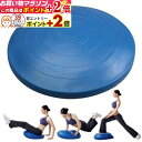楽天マラソン+当店限定ポイントUP★ トレーニング用品 バランスディスクビッグ60cm