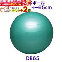 楽天マラソン+当店限定ポイントUP★ トレーニング用品 バランスボールセイフティー65